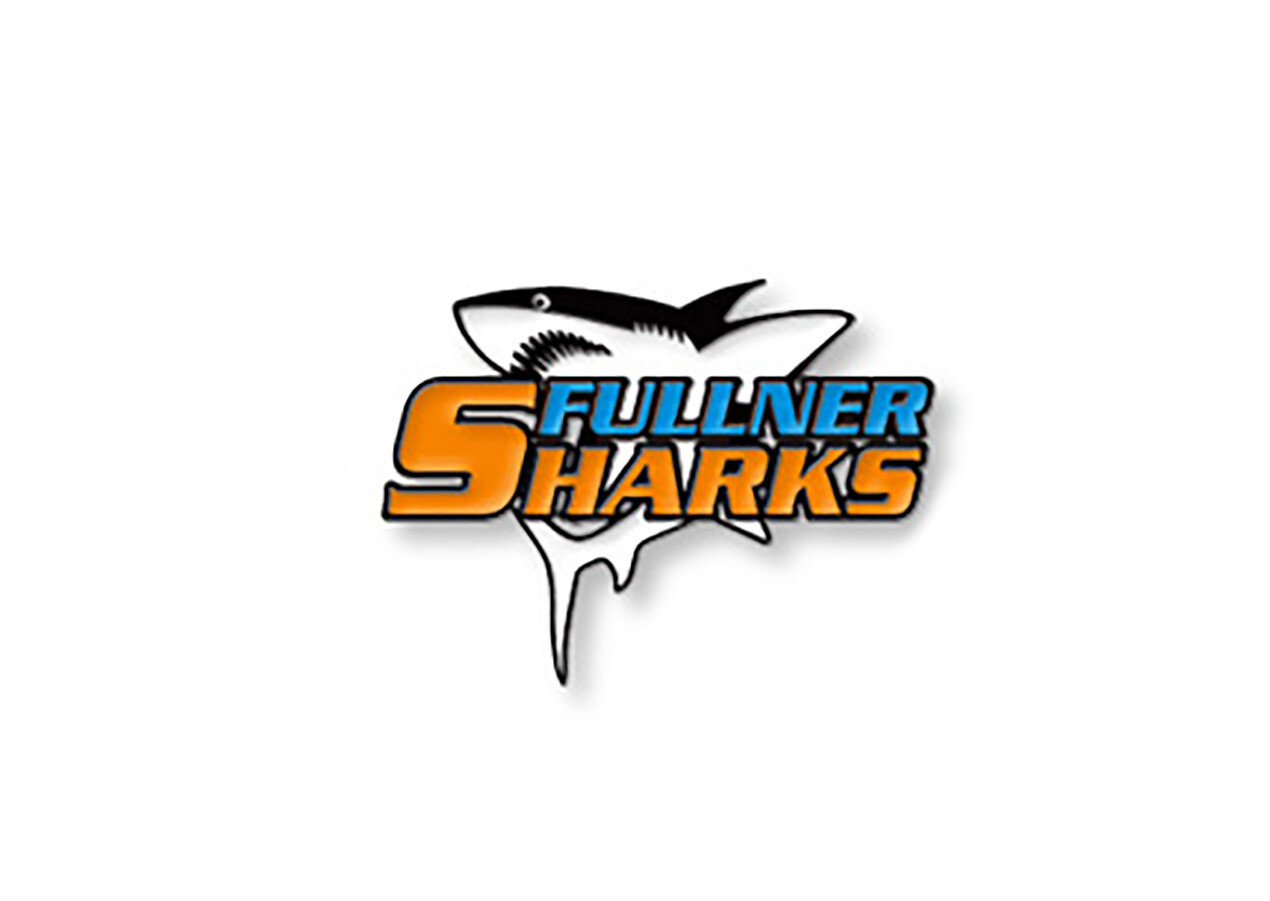 Custom Trading Pin Design