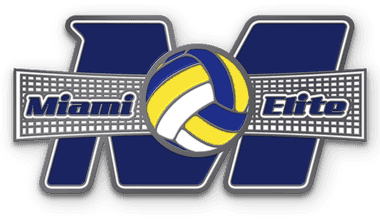 Volleyball custom trading pin with net